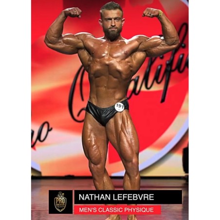 Slip Shorty Homme Discret | Vicorne Competitor